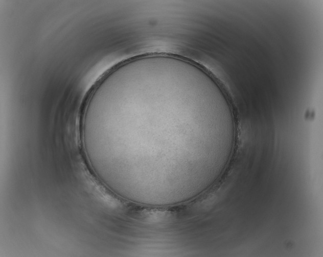 X0000111660886200907171607