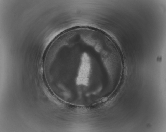 X0000111660887200907171607