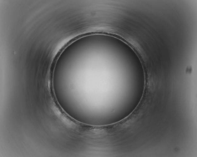 X0000111660888200907171607