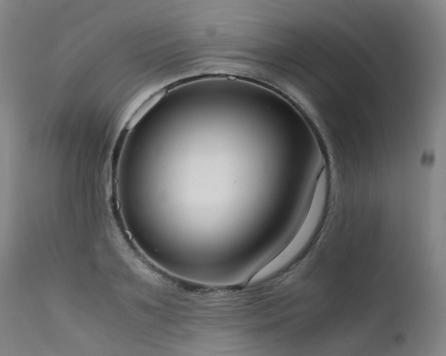 X0000111660891200907171607