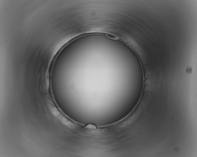 X0000111660892200907171607