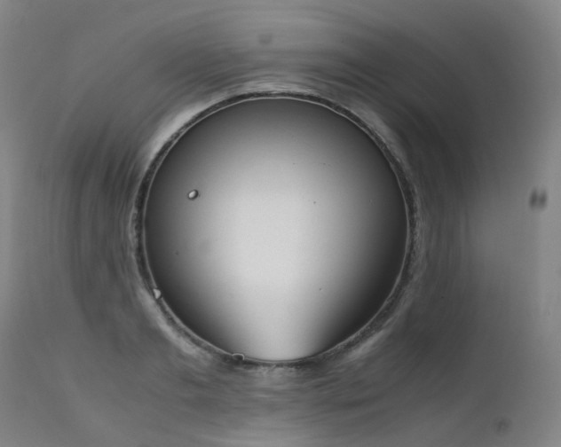 X0000111660893200907171607
