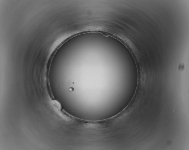 X0000111660894200907171607