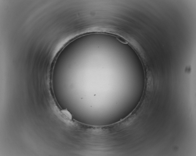 X0000111660896200907171607