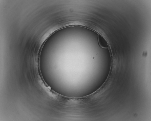 X0000111660898200907171607
