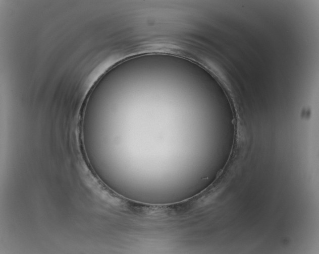 X0000111660899200907171607