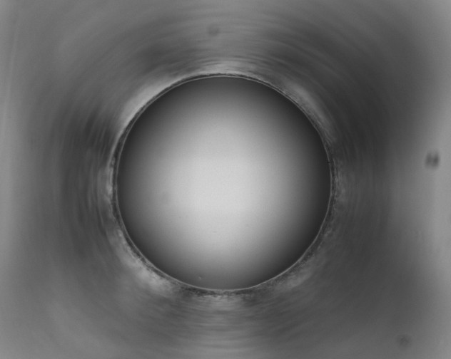 X0000111660900200907171607