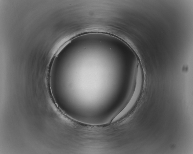 X0000111660901200907171607