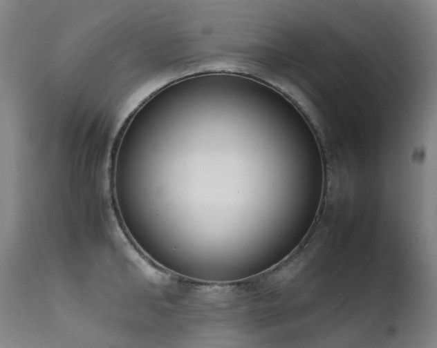 X0000111660902200907171607