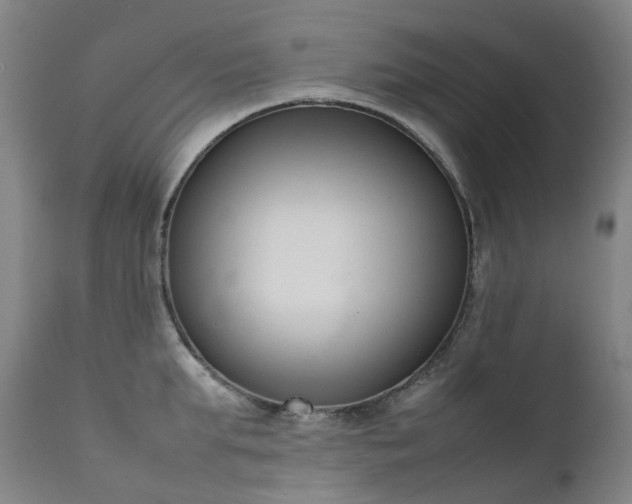 X0000111660903200907171607