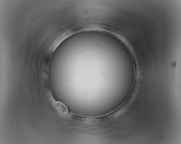 X0000111660905200907171607