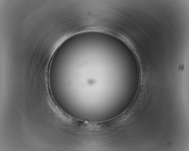 X0000111660907200907171607
