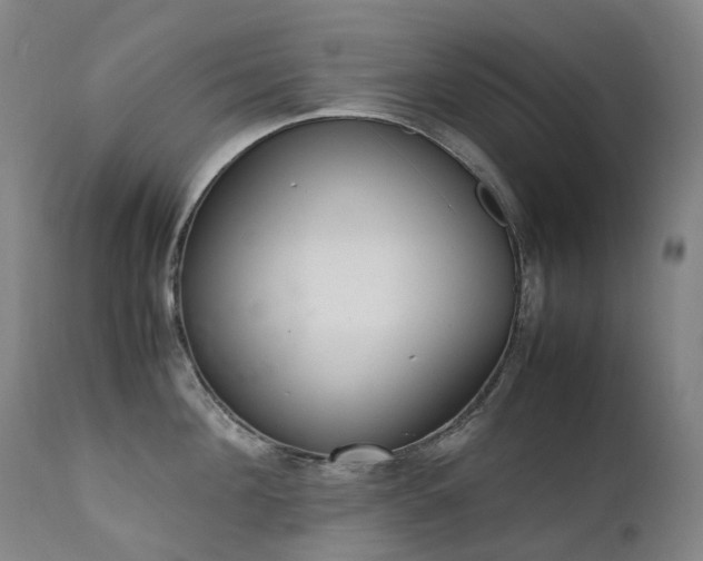 X0000111660908200907171607