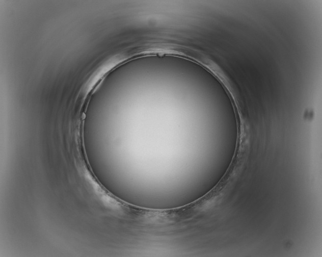 X0000111660909200907171607