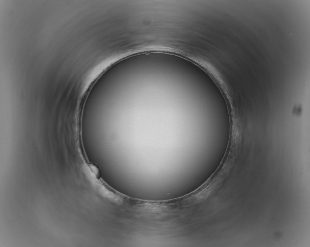 X0000111660910200907171606