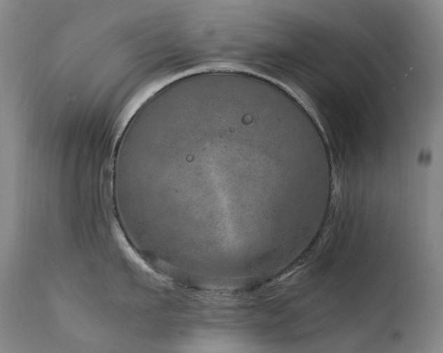 X0000111660911200907171606