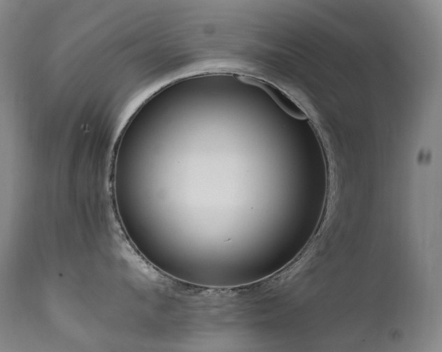 X0000111660912200907171606