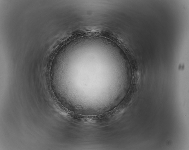 X0000111660913200907171606