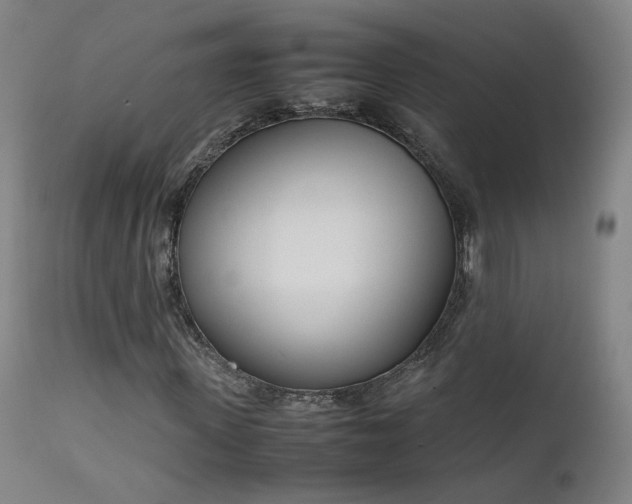 X0000111660915200907171606