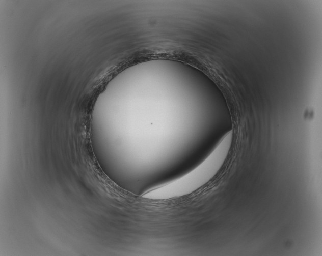 X0000111660916200907171606