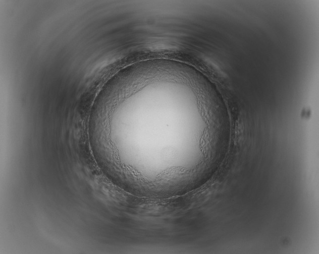 X0000111660917200907171606