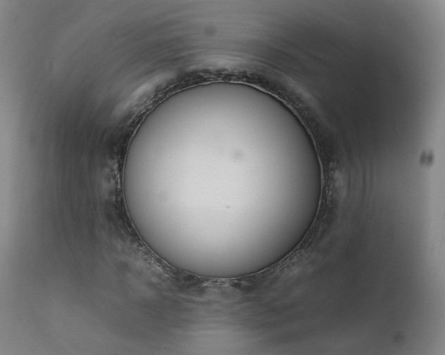 X0000111660918200907171606