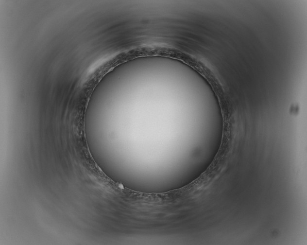 X0000111660919200907171606
