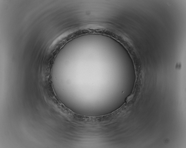 X0000111660920200907171606