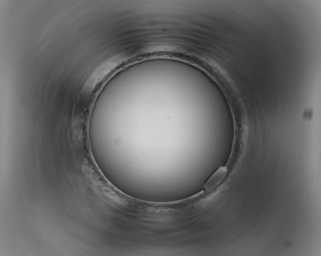 X0000111660921200907171606