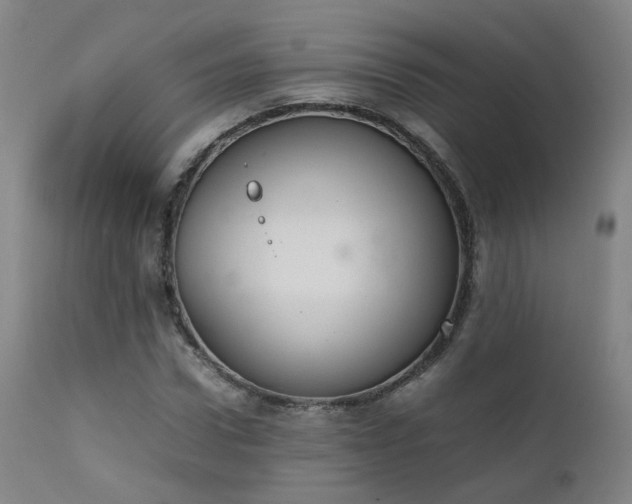 X0000111660922200907171606