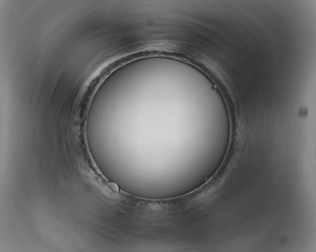 X0000111660923200907171606
