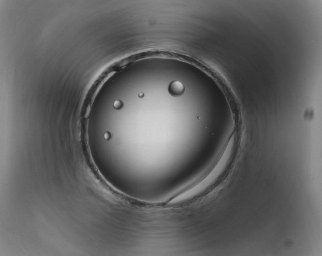 X0000111660924200907171606