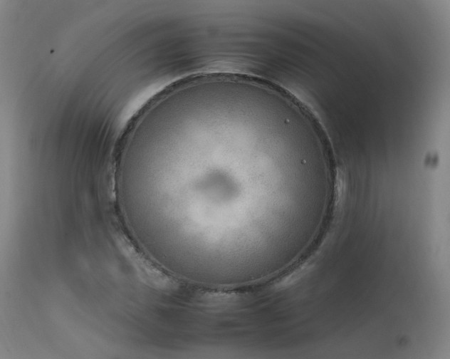 X0000111660925200907171606
