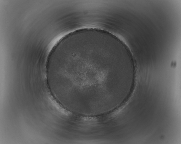 X0000111660927200907171606