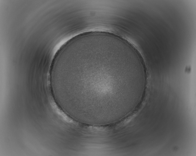 X0000111660928200907171606