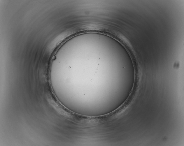 X0000111660930200907171606