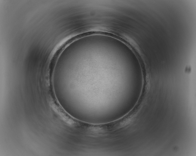 X0000111660931200907171606