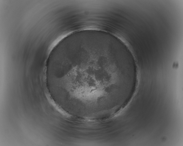 X0000111660933200907171606