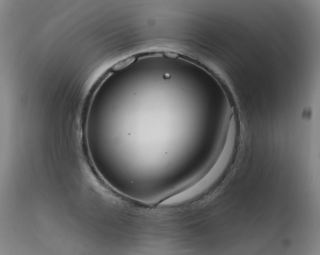 X0000111660936200907171606