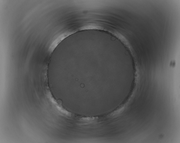 X0000111660937200907171606