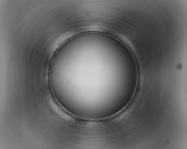X0000111660938200907171606