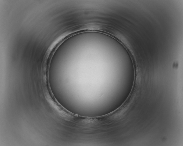 X0000111660939200907171606