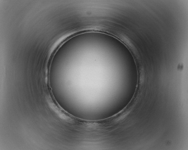 X0000111660940200907171606