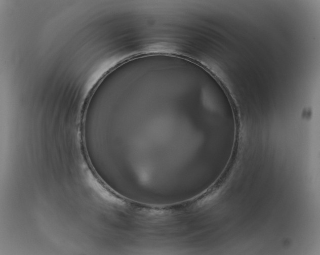 X0000111660941200907171606