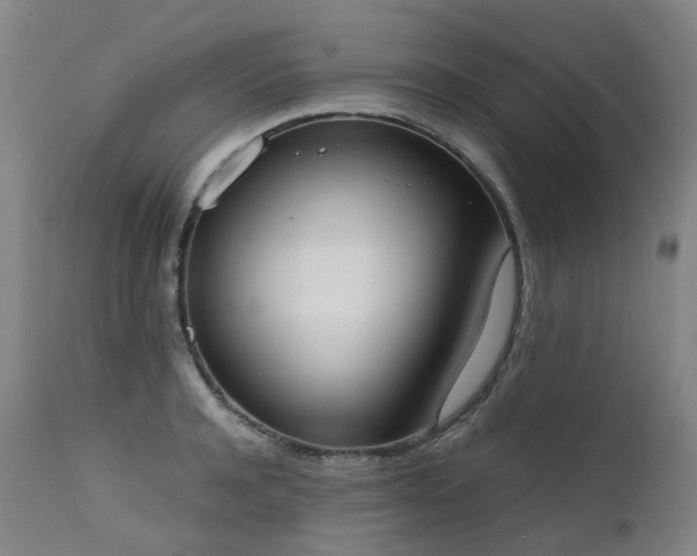 X0000111660944200907171606
