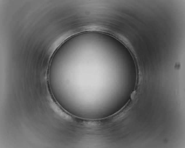X0000111660946200907171606