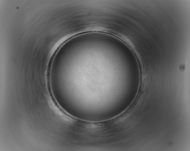 X0000111660947200907171606