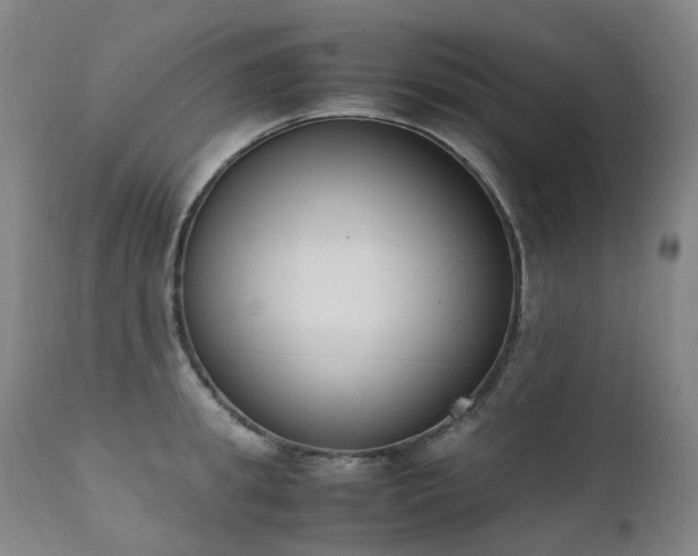 X0000111660949200907171606