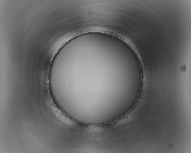 X0000111660954200907171606