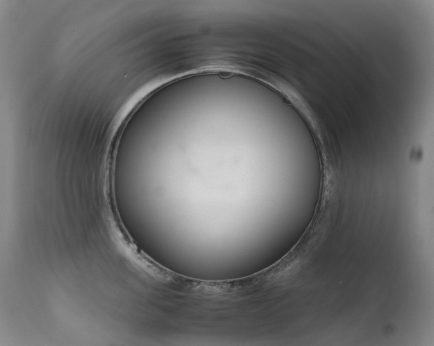 X0000111660955200907171606